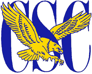 Coppin State Eagles 1988-2003 Primary Logo Sticker Heat Transfer